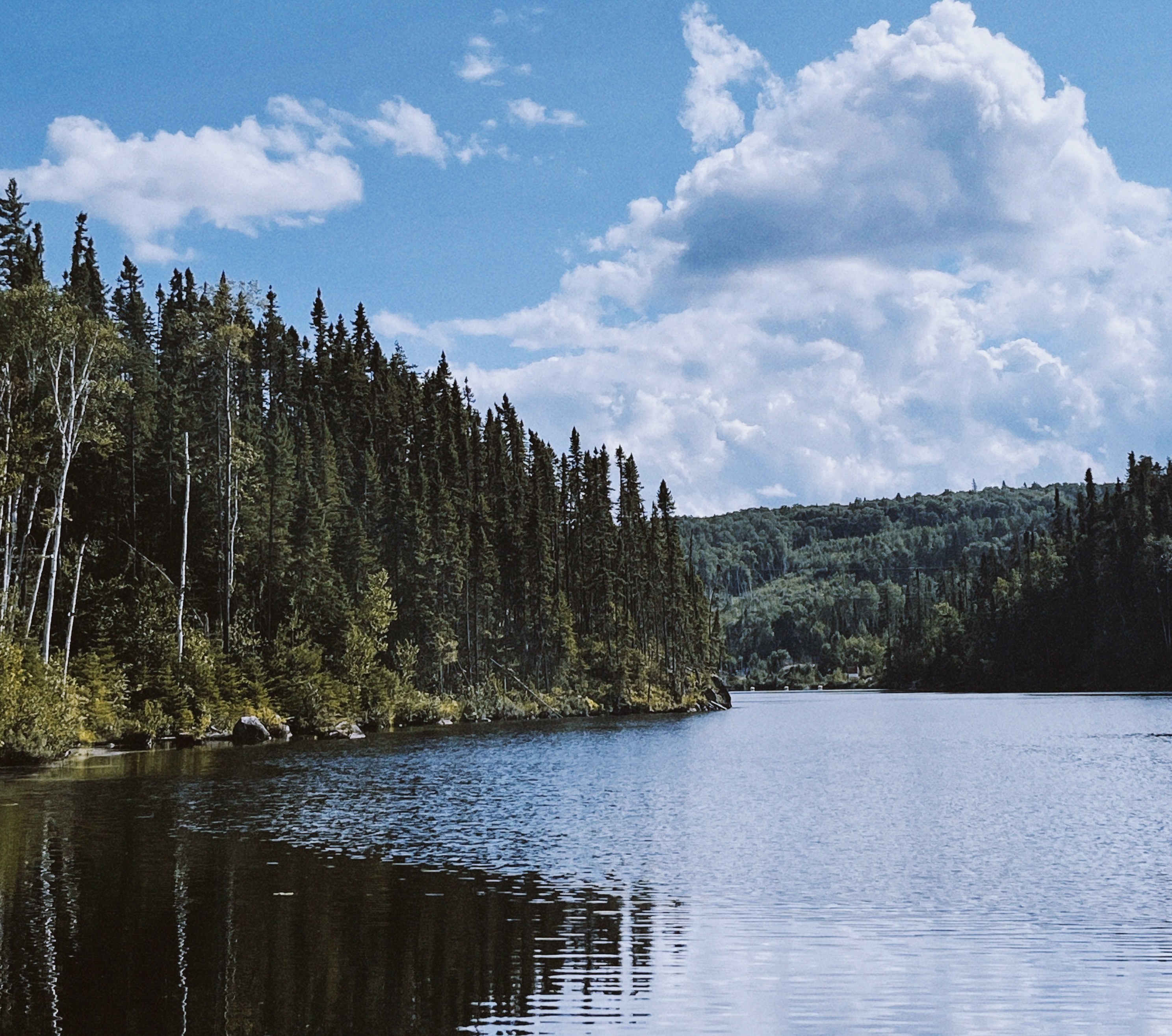 Boreal lake