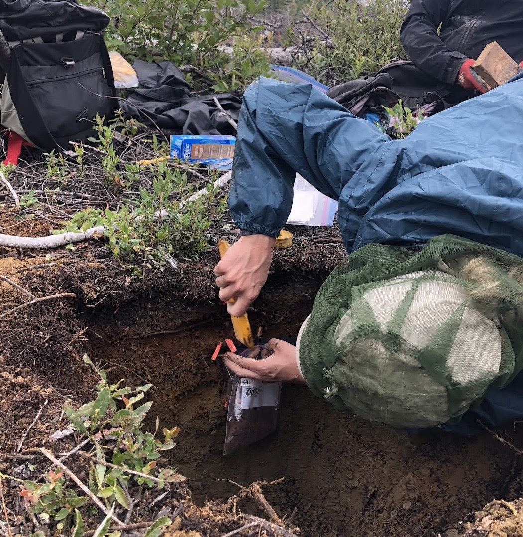 Soil sampling in the field