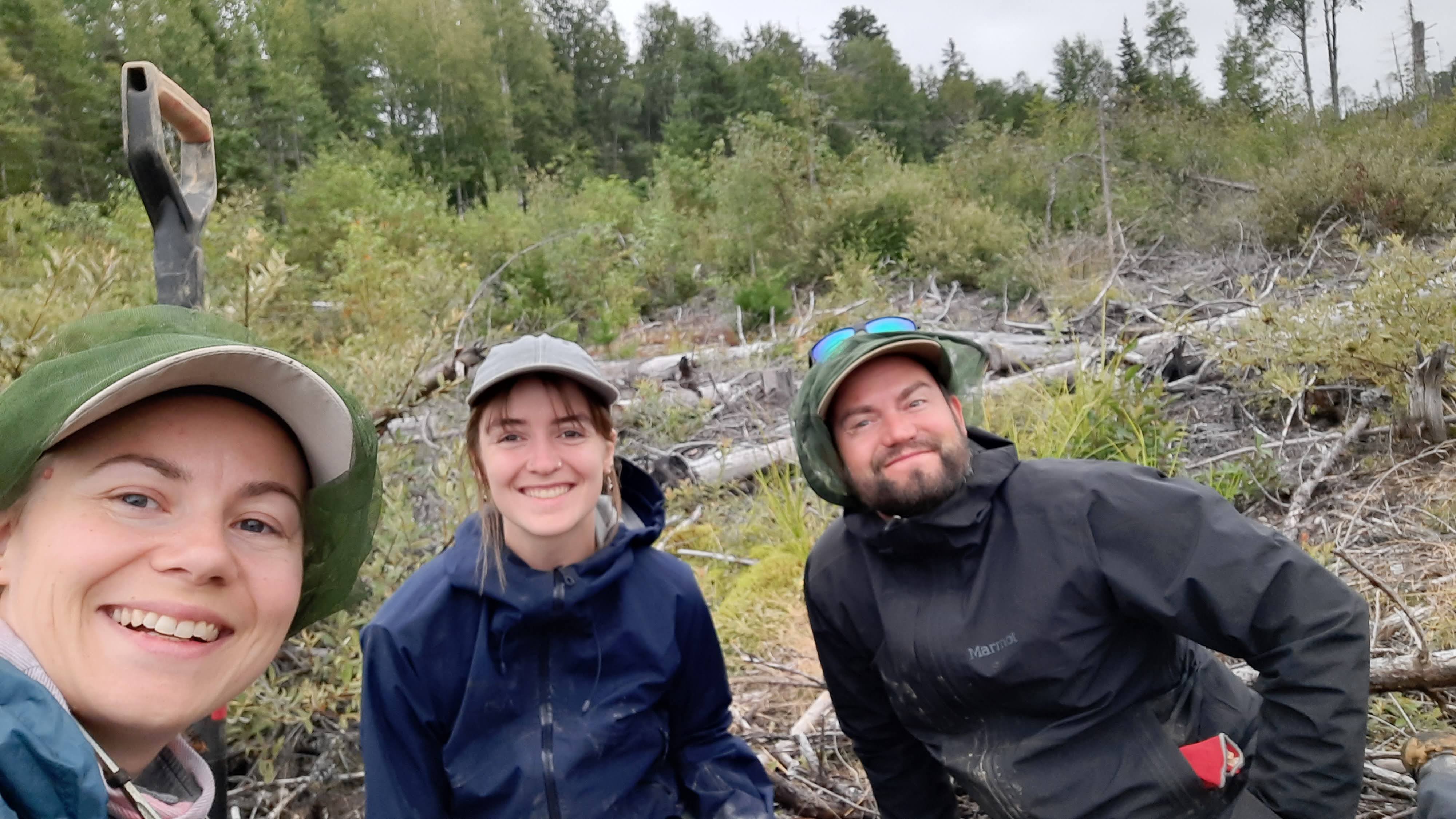 Field team in the forest