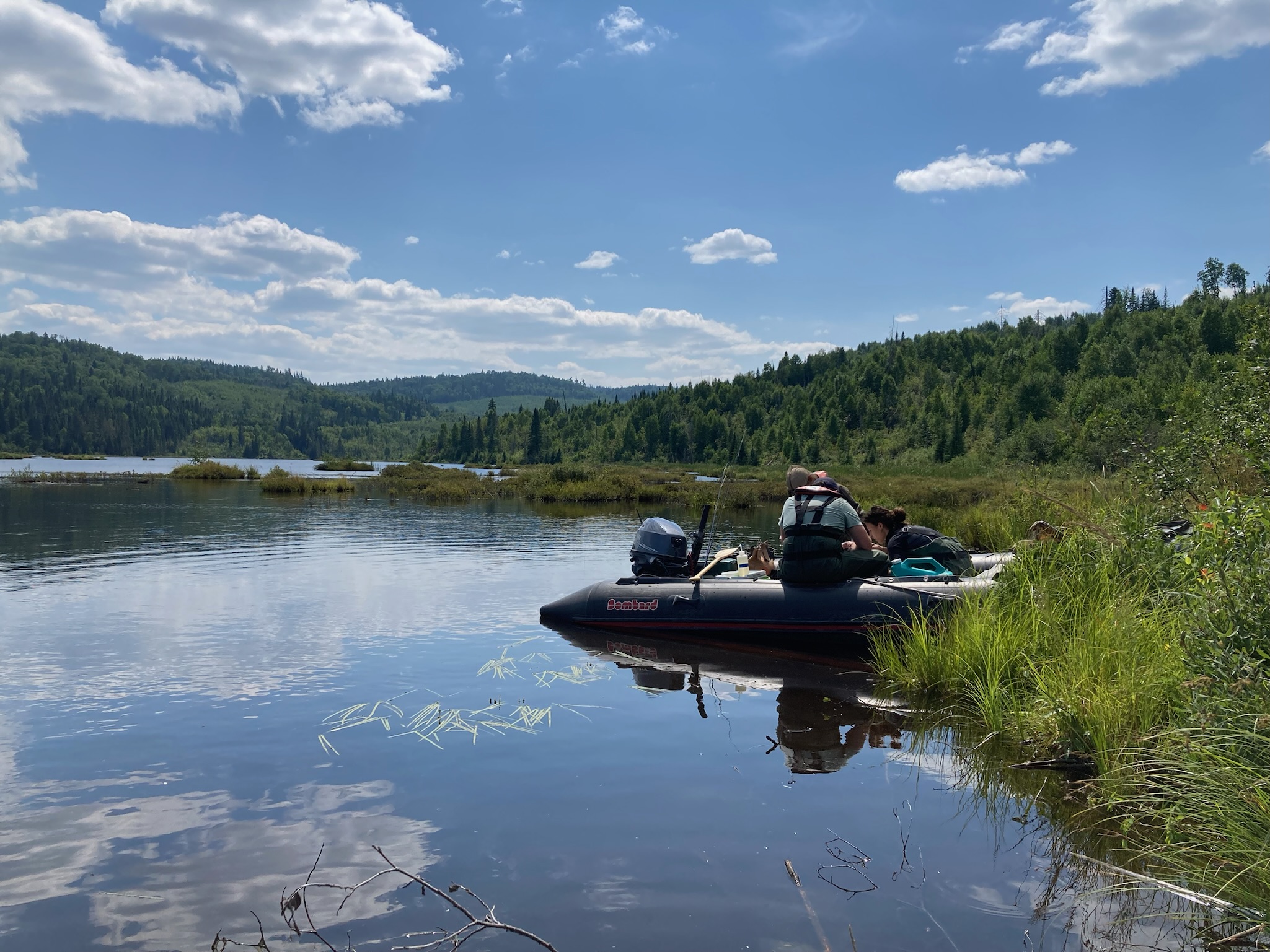 Zodiac on a wetland lake